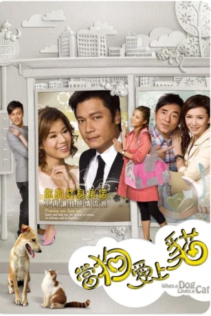 Poster phim Khi Chó Yêu Mèo