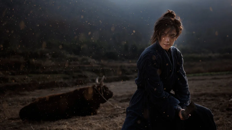 Poster phim Truy Nã Đam Mê Giang Hồ